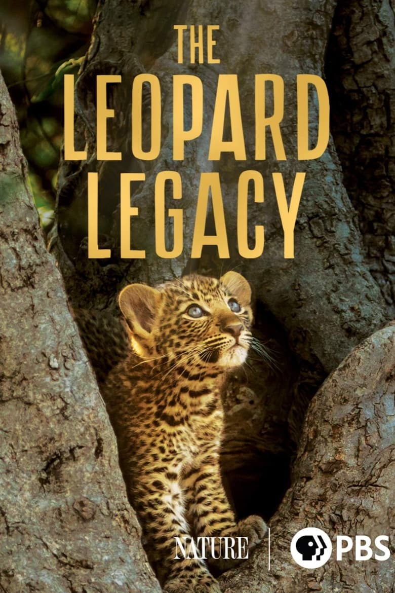 Poster of The Leopard Legacy