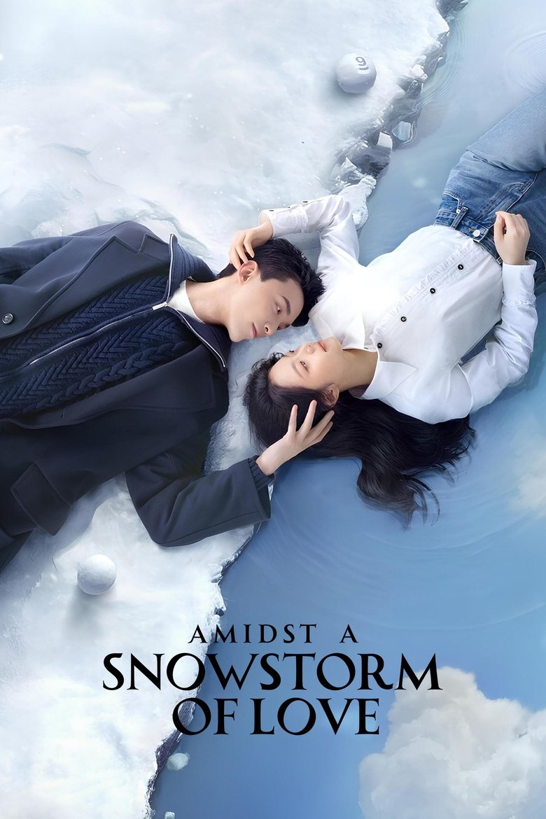 Poster of Amidst a Snowstorm of Love