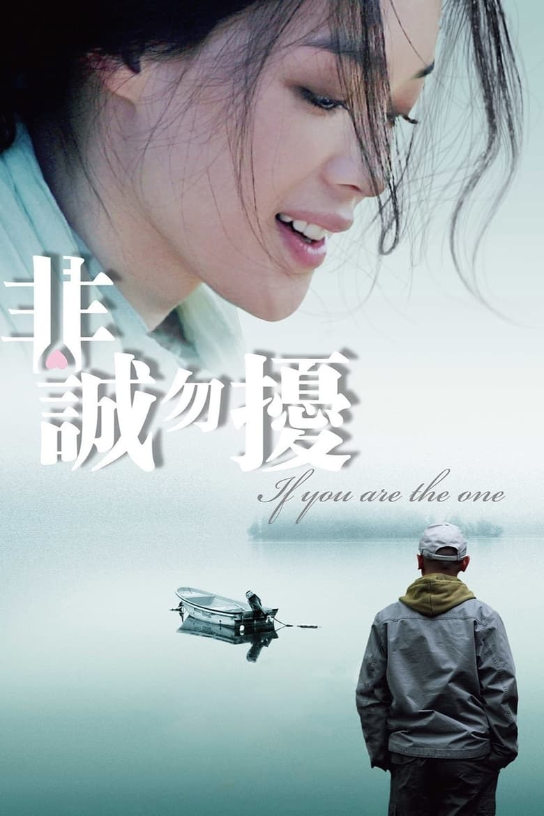 Poster of If You Are the One