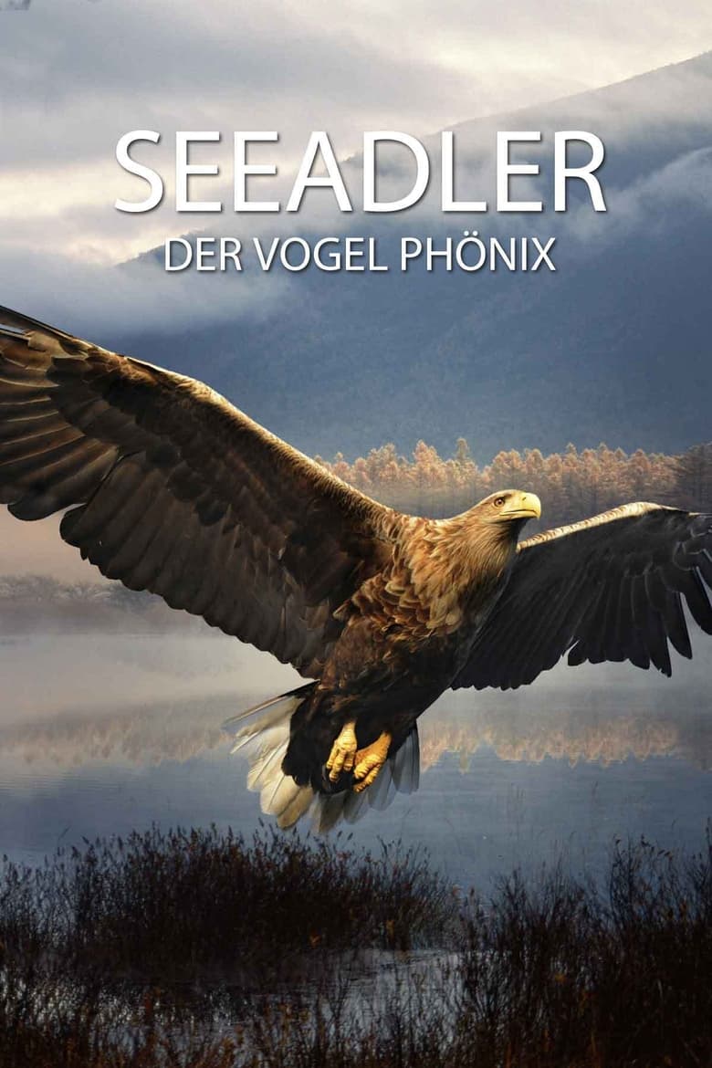 Poster of Seeadler - Der Vogel Phönix