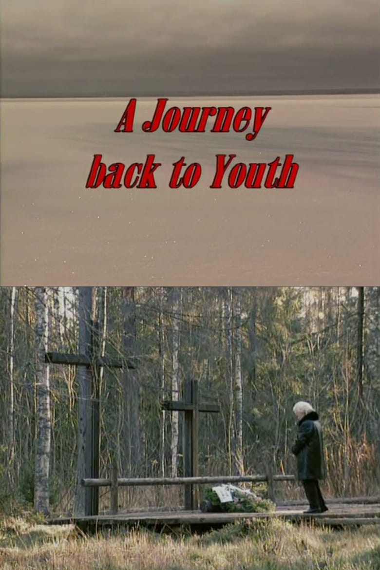 Poster of A Journey Back to Youth