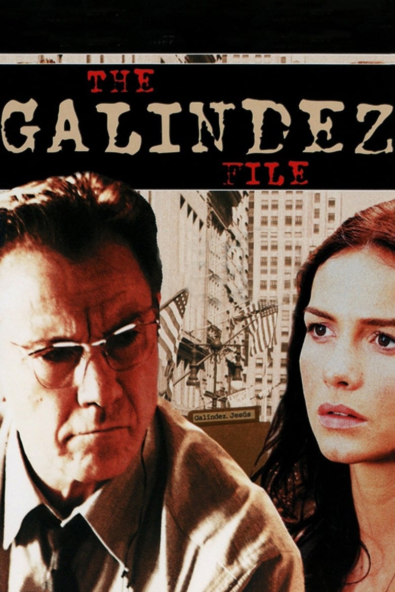 Poster of The Galíndez File