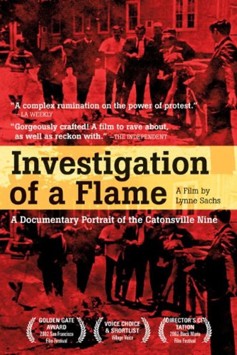 Poster of Investigation of a Flame