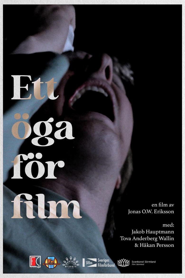 Poster of Ett öga för film