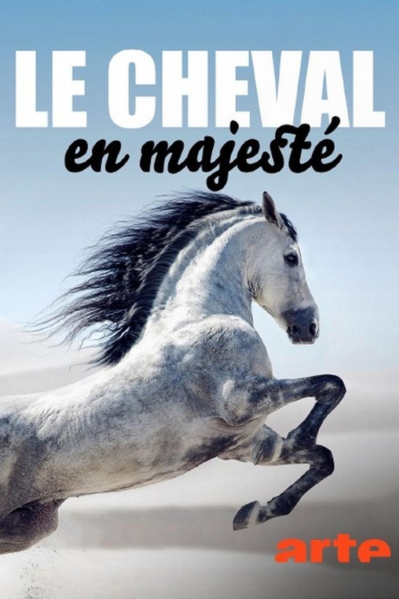 Poster of Le cheval en majesté