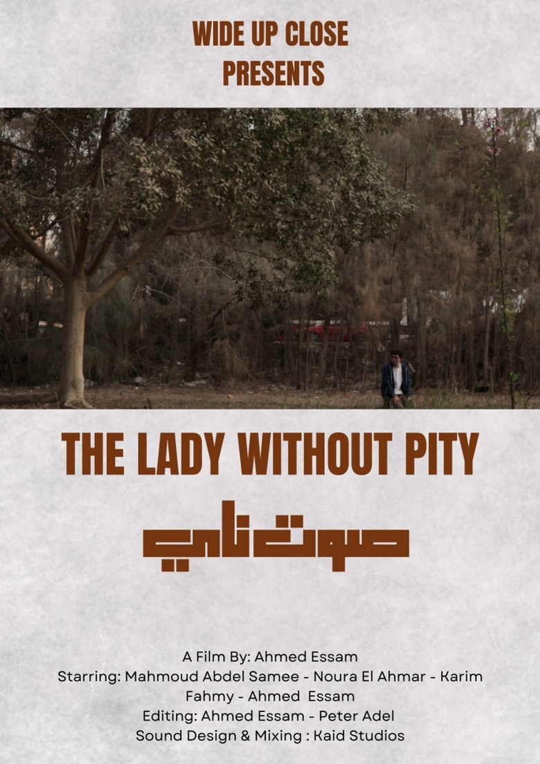 Poster of The Lady Without Pity