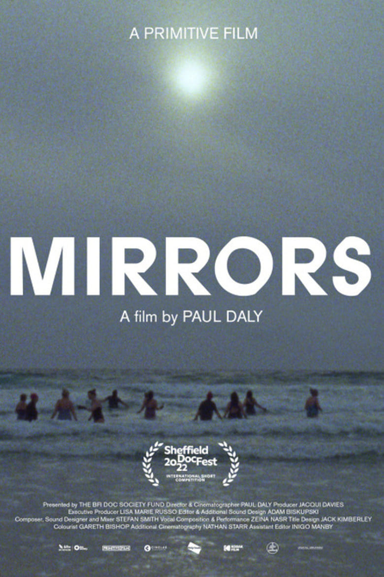 Poster of Mirrors