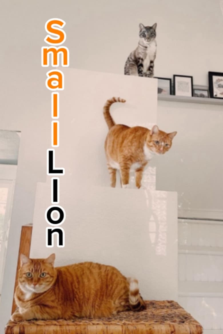 Poster of Small Lion