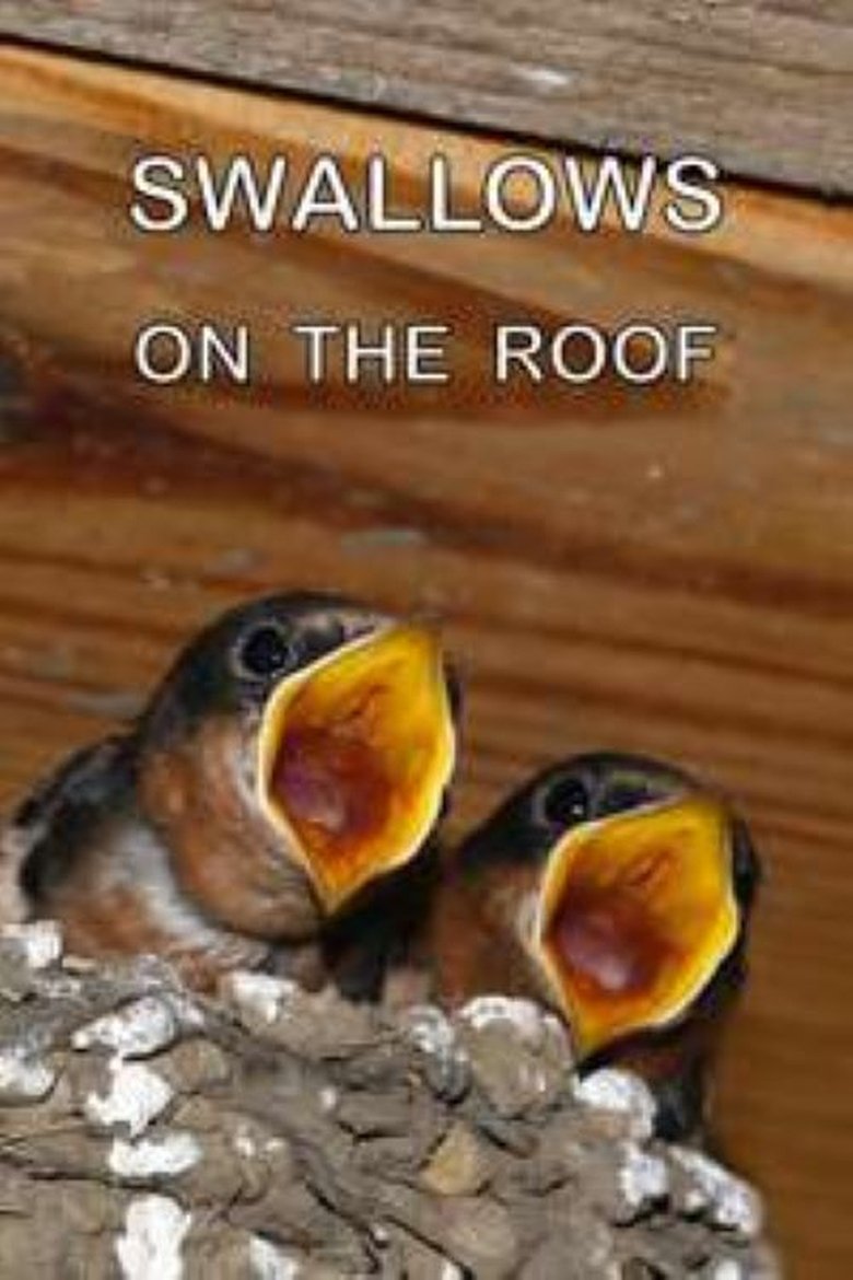 Poster of Swallows on the Roof