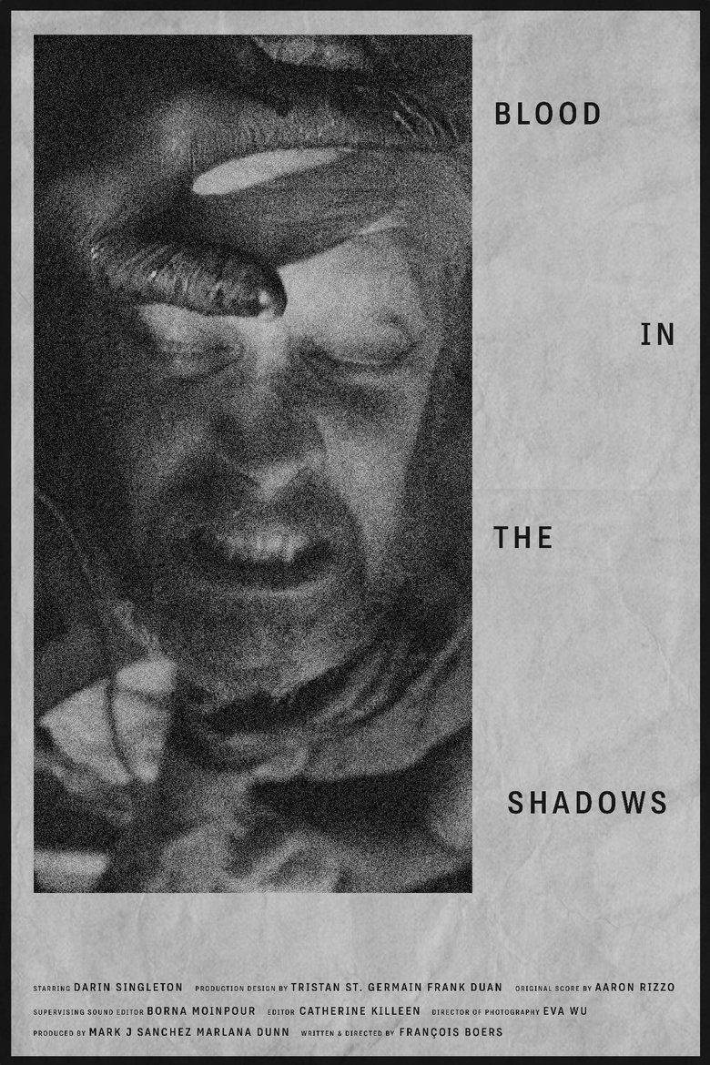 Poster of Blood in the Shadows