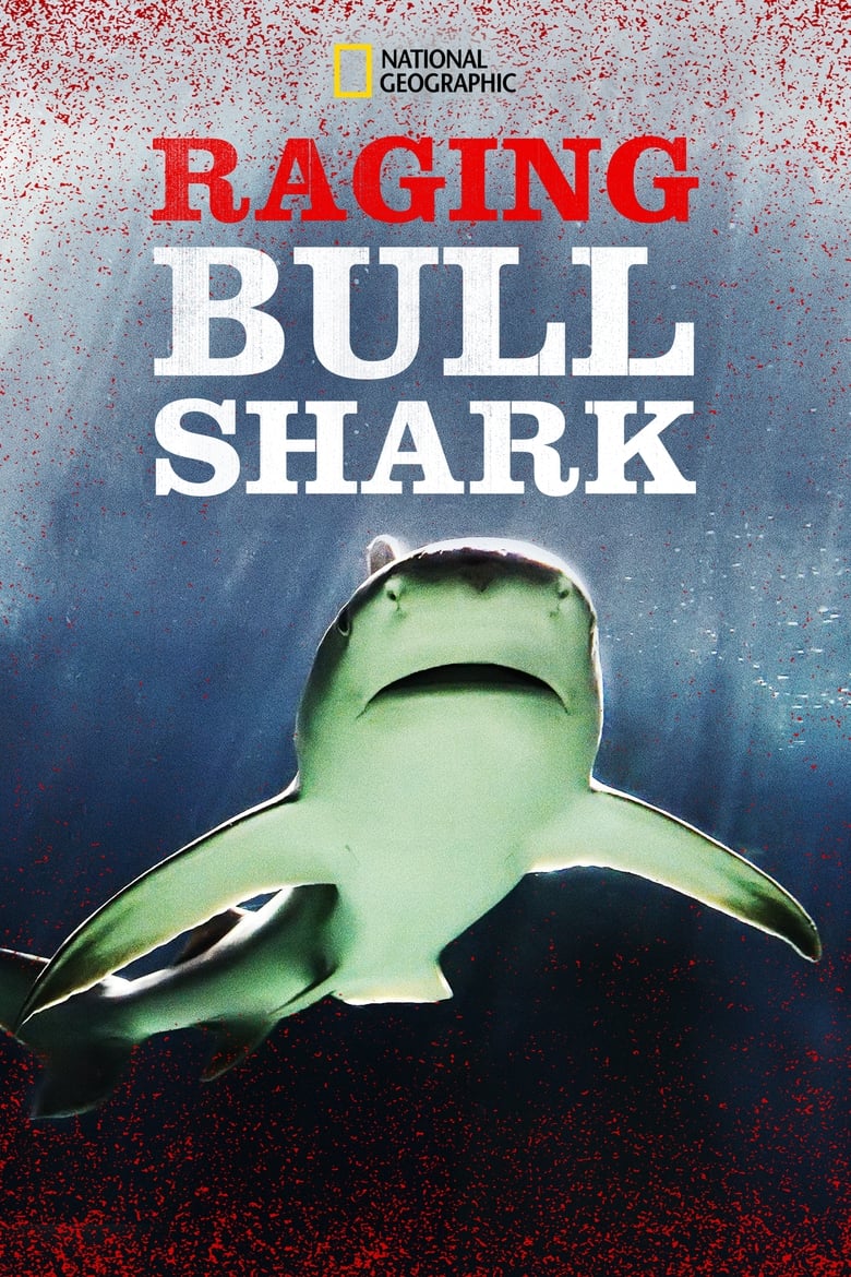 Poster of Raging Bull Shark