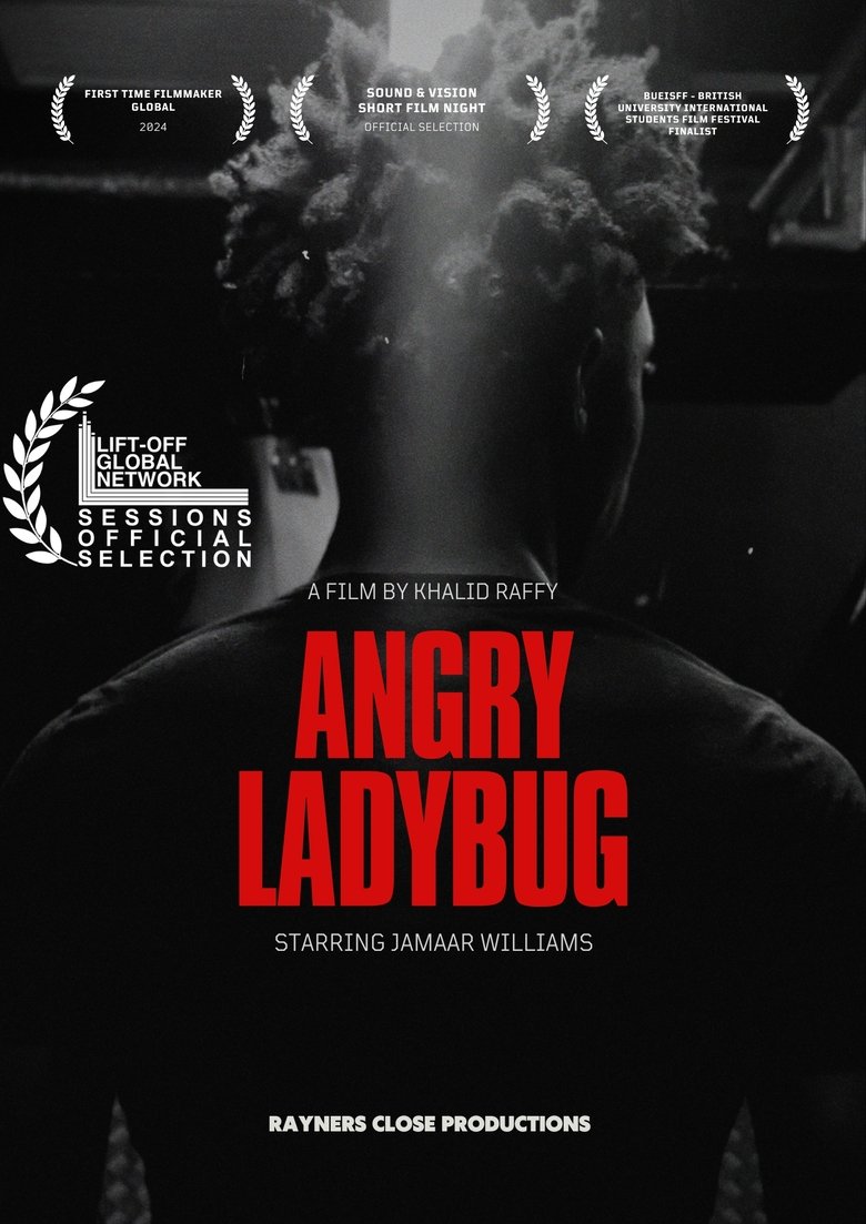 Poster of Angry Ladybug