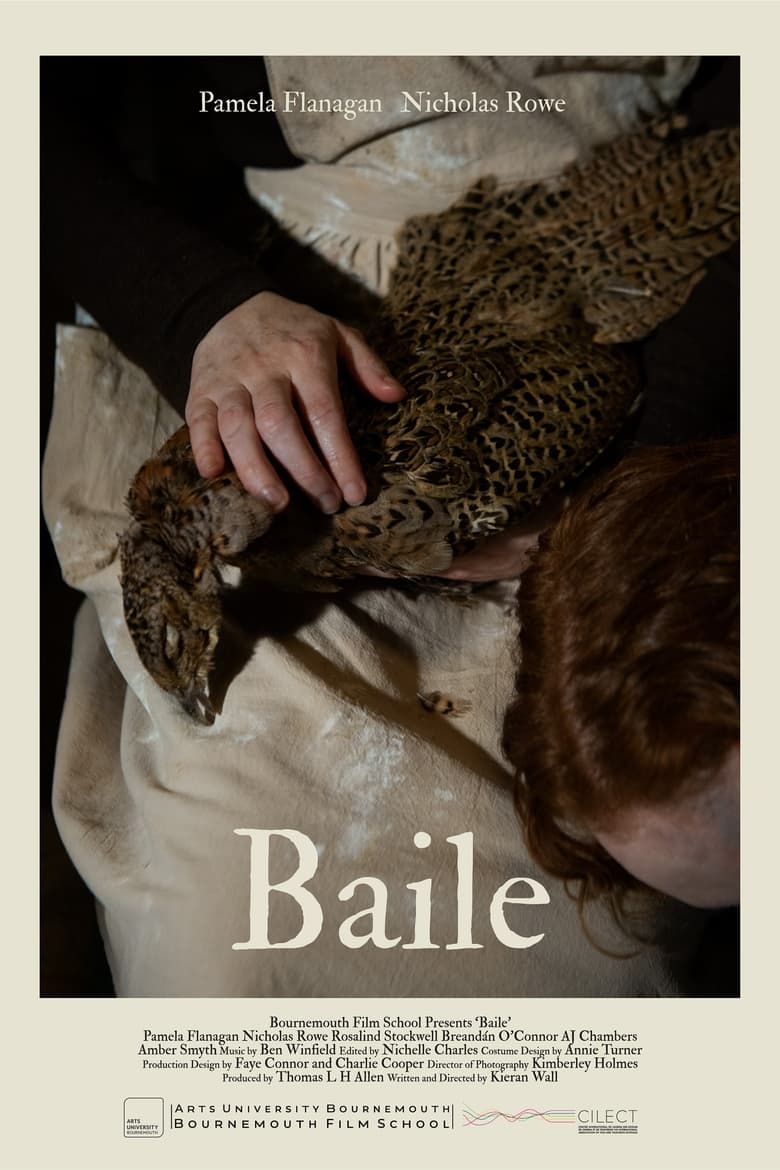 Poster of Baile