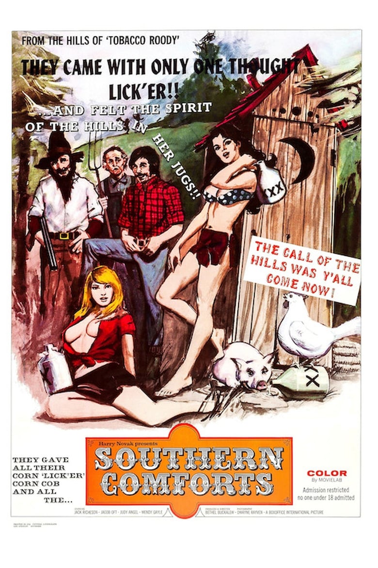 Poster of Southern Comforts