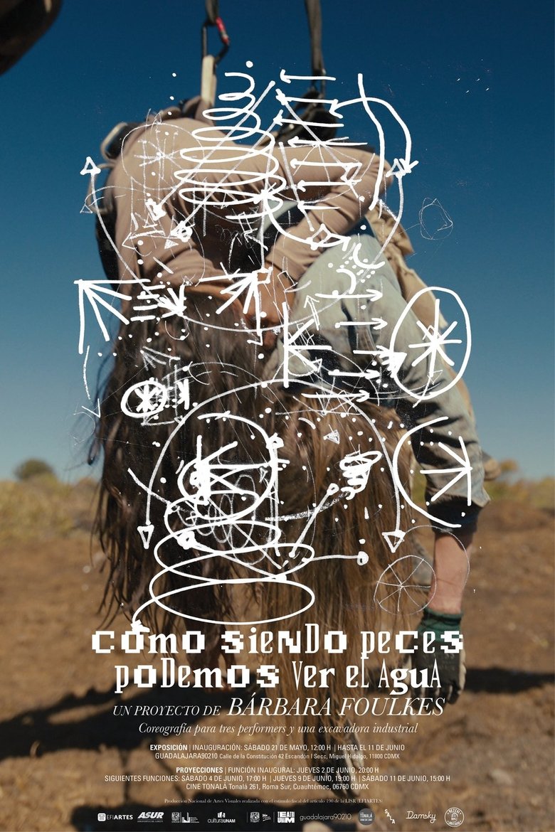 Poster of Cómo siendo peces podemos ver el agua