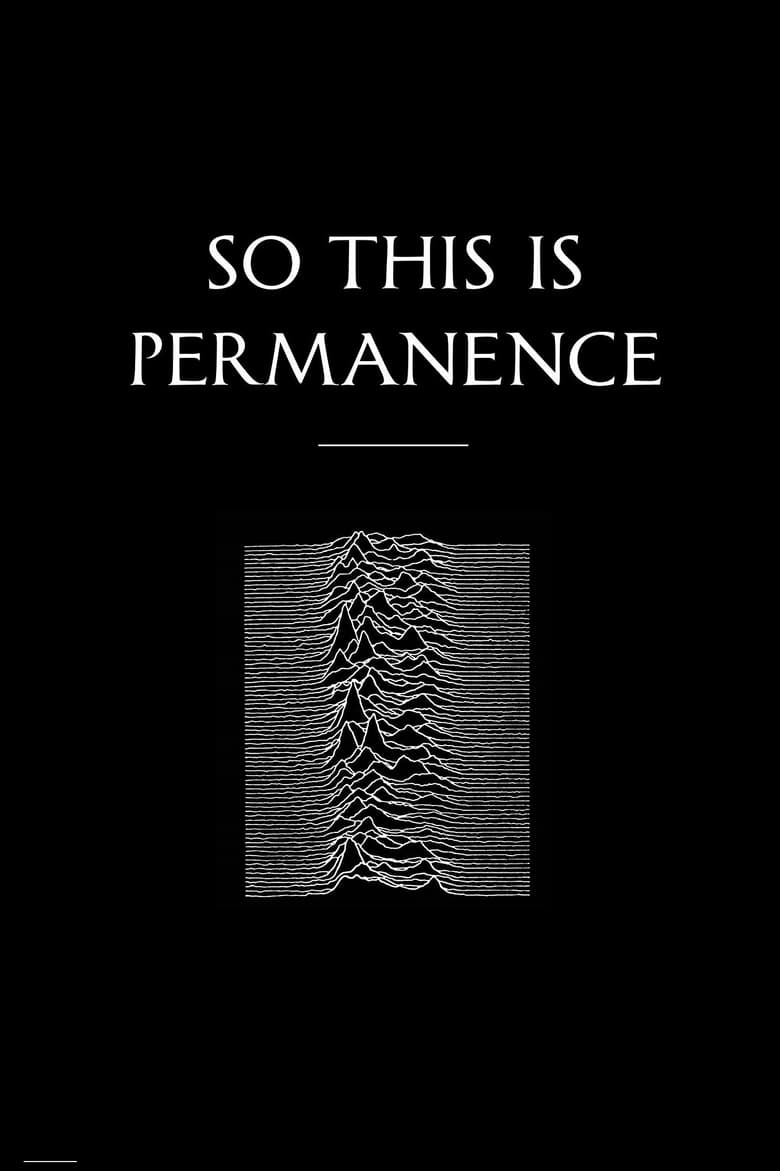 Poster of Peter Hook & The Light: So This Is Permanent