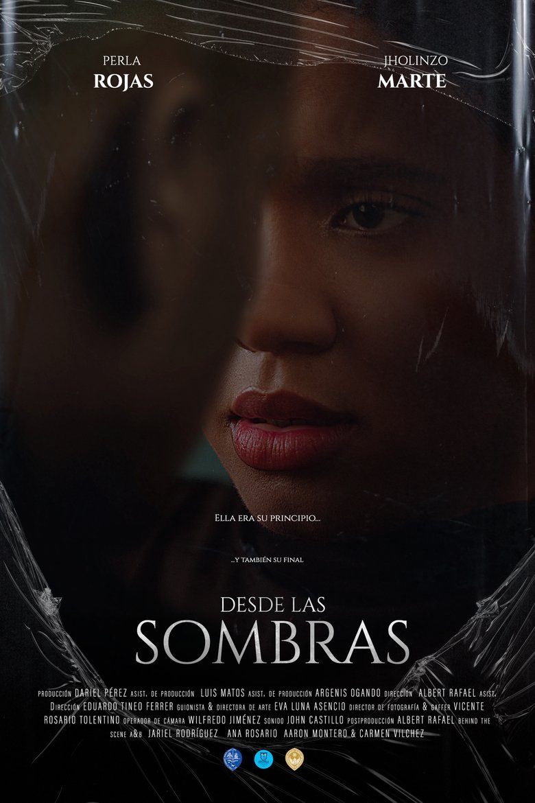 Poster of Desde las sombras