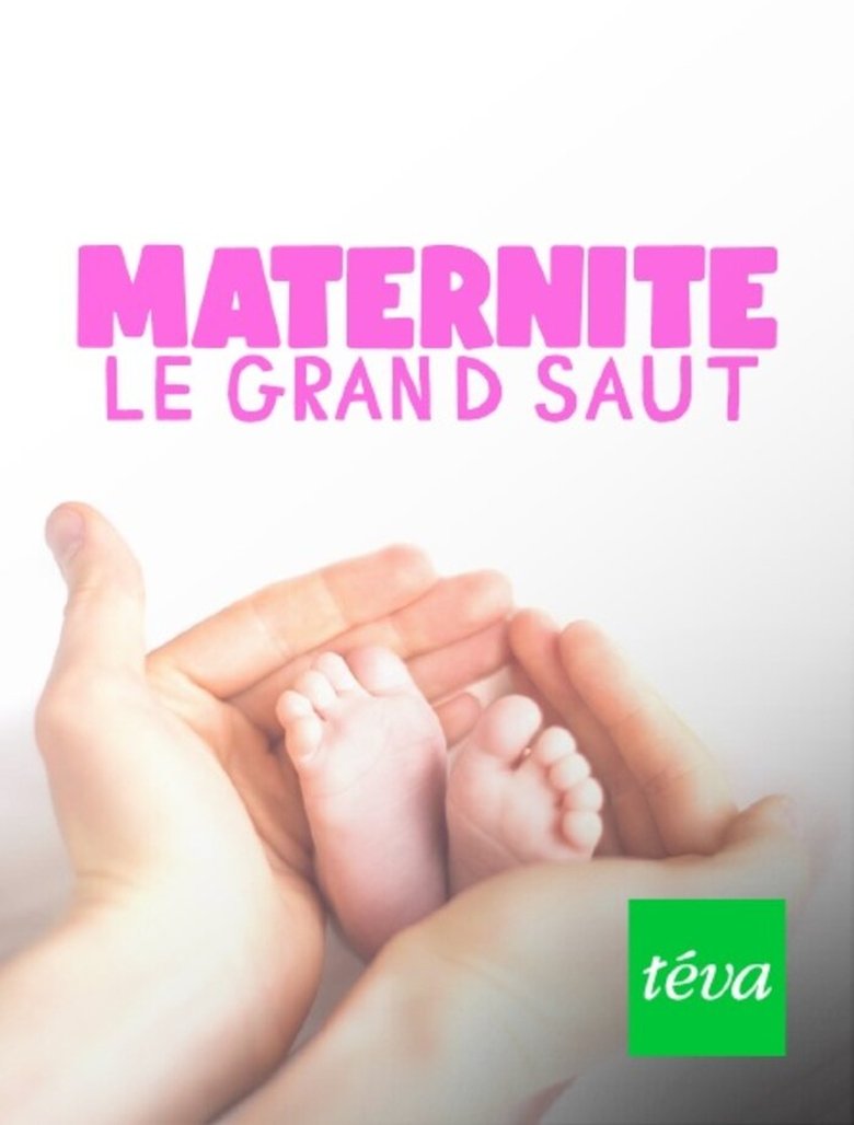 Poster of Maternité : le grand saut