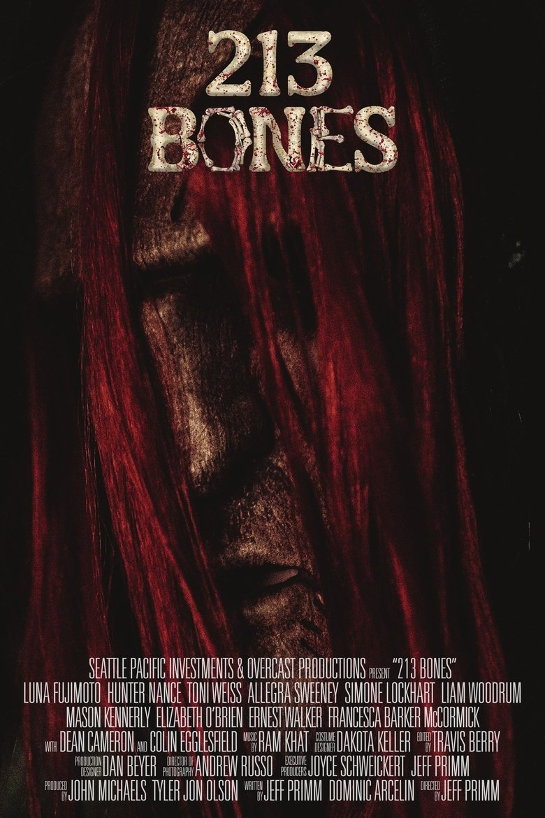 Poster of 213 Bones