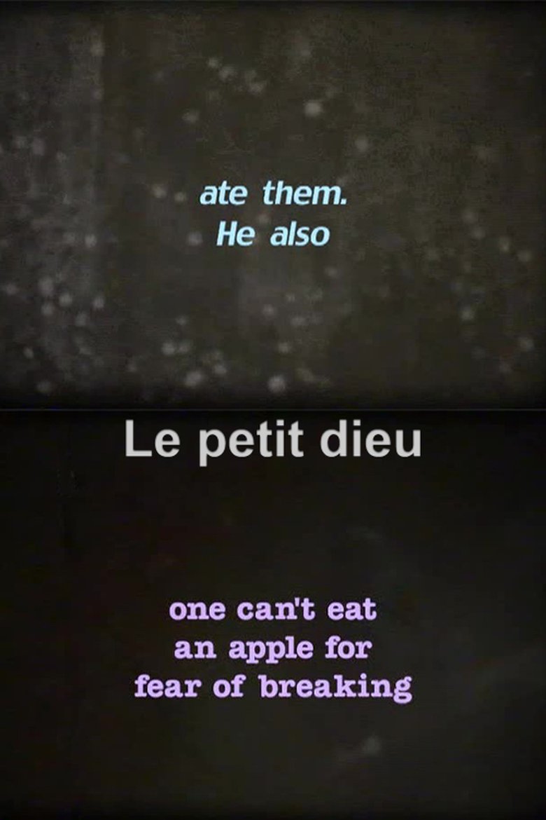 Poster of Le petit dieu