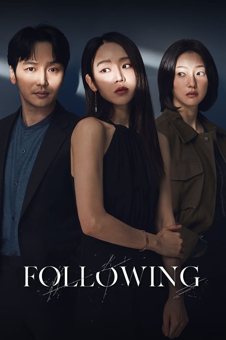 Poster of Following