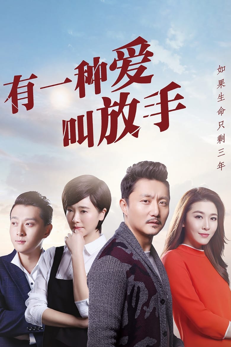 Poster of 有一种爱叫放手