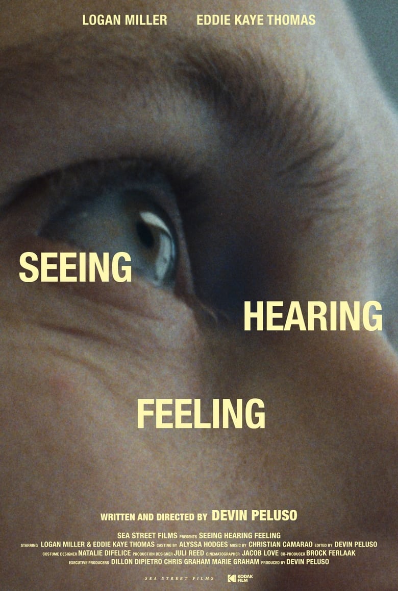 Poster of Seeing Hearing Feeling