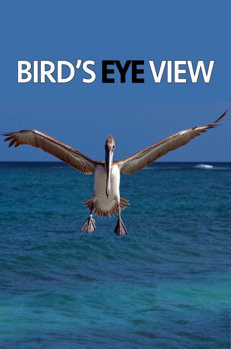 Poster of Bird's Eye View
