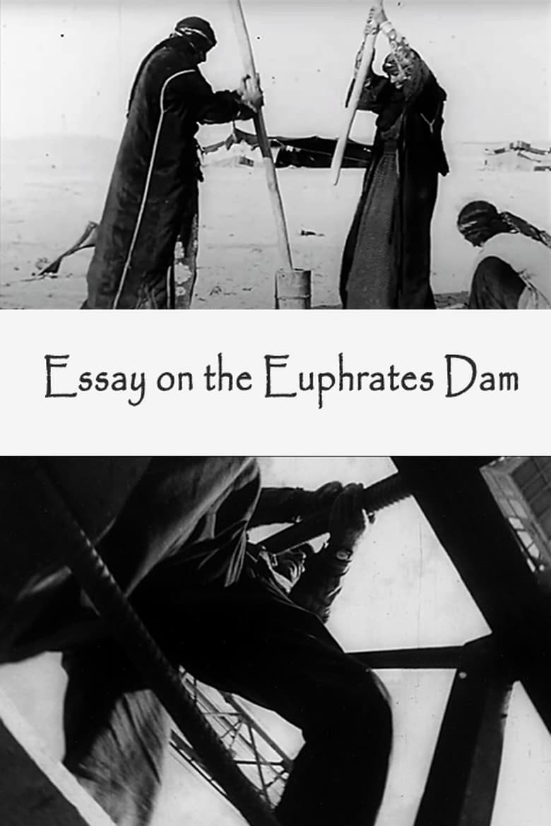 Poster of Film-Essay on the Euphrates Dam