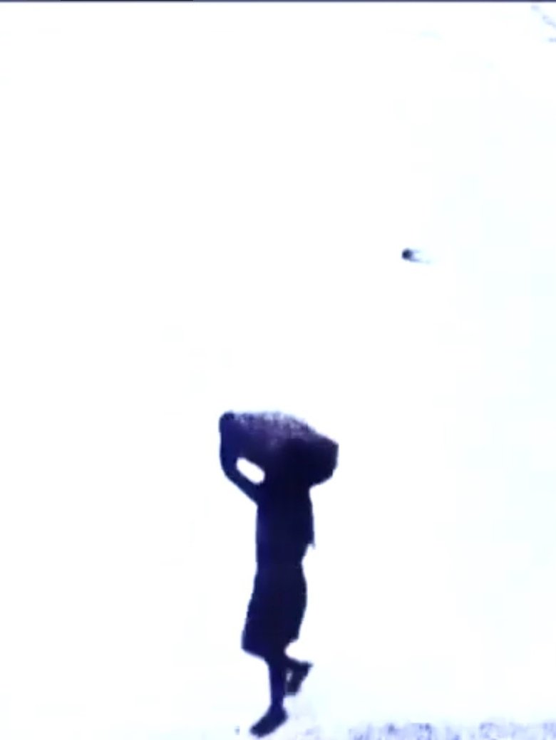 Poster of Ginger Space Waltz