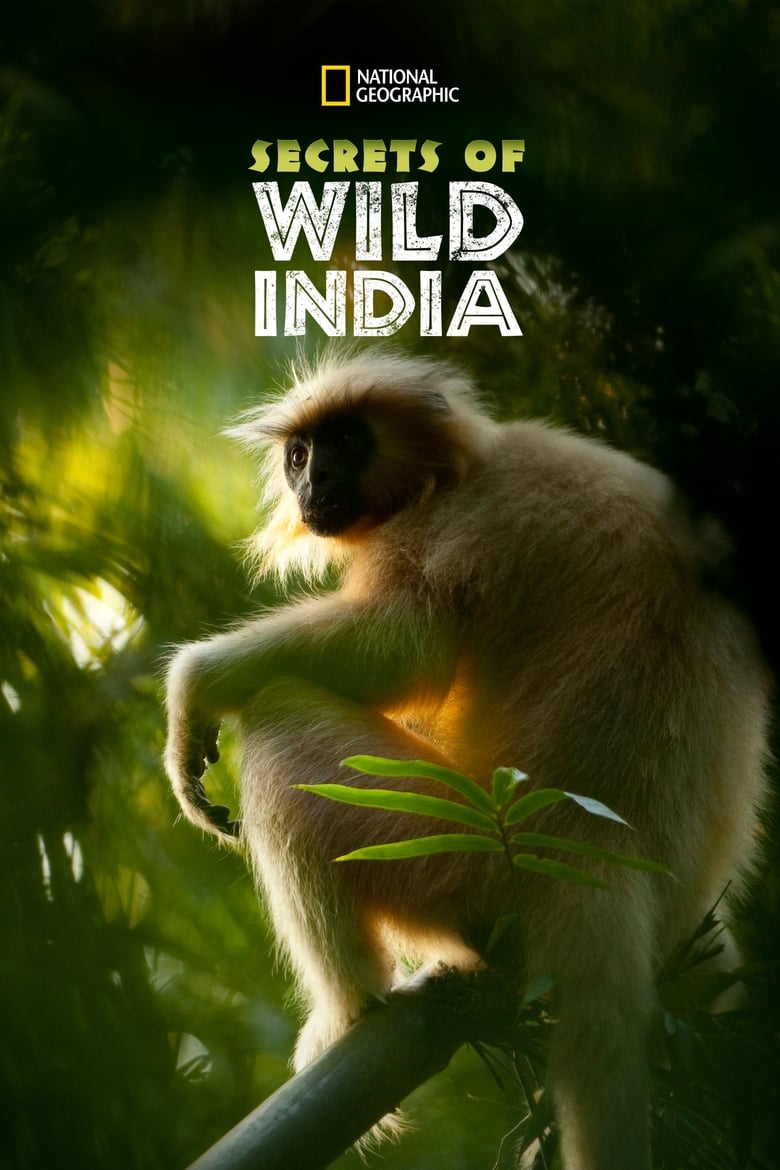 Poster of Episodes in Secrets Of Wild India - Season 1 - Season 1