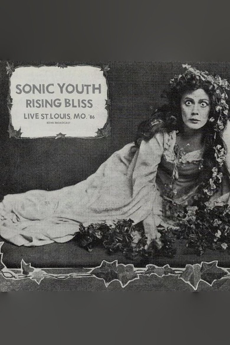 Poster of Sonic Youth: Mississippi Nights, St. Louis
