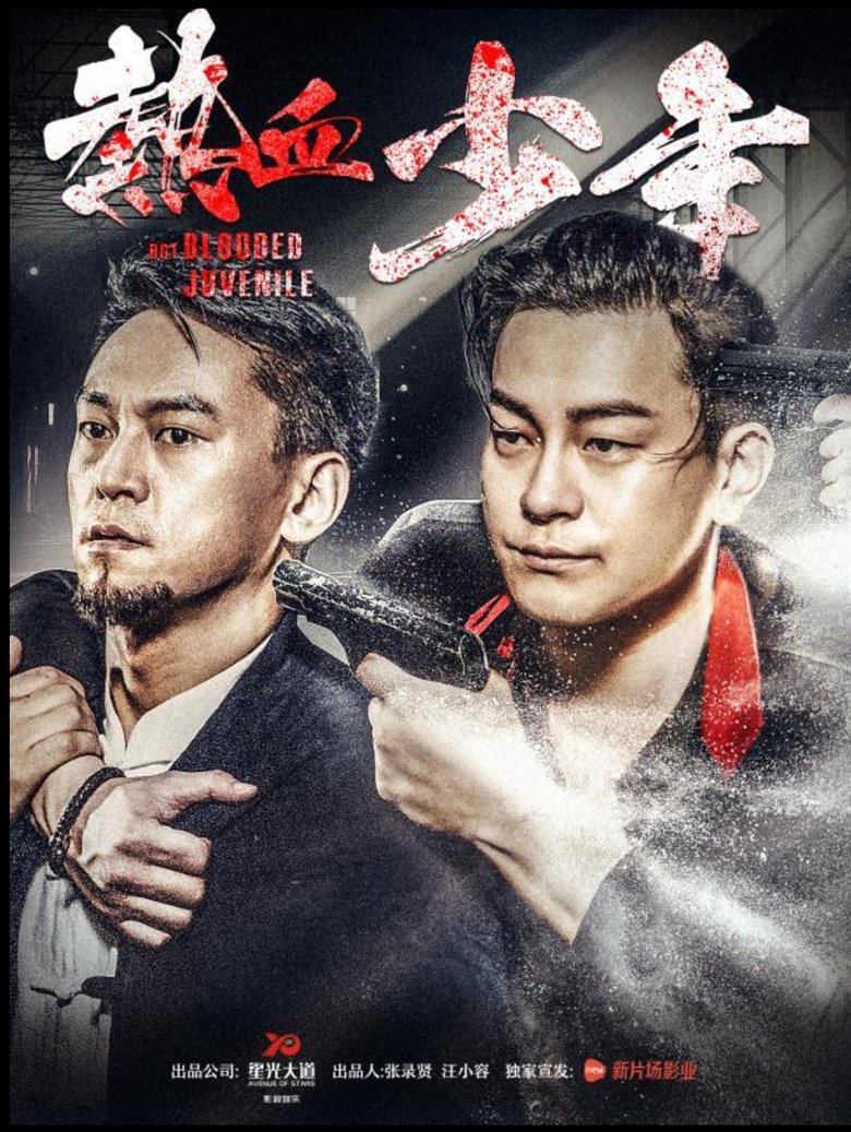 Poster of 热血少年