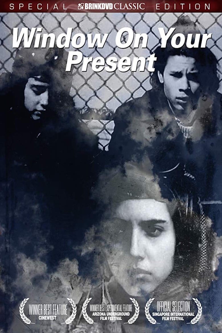 Poster of Window on Your Present