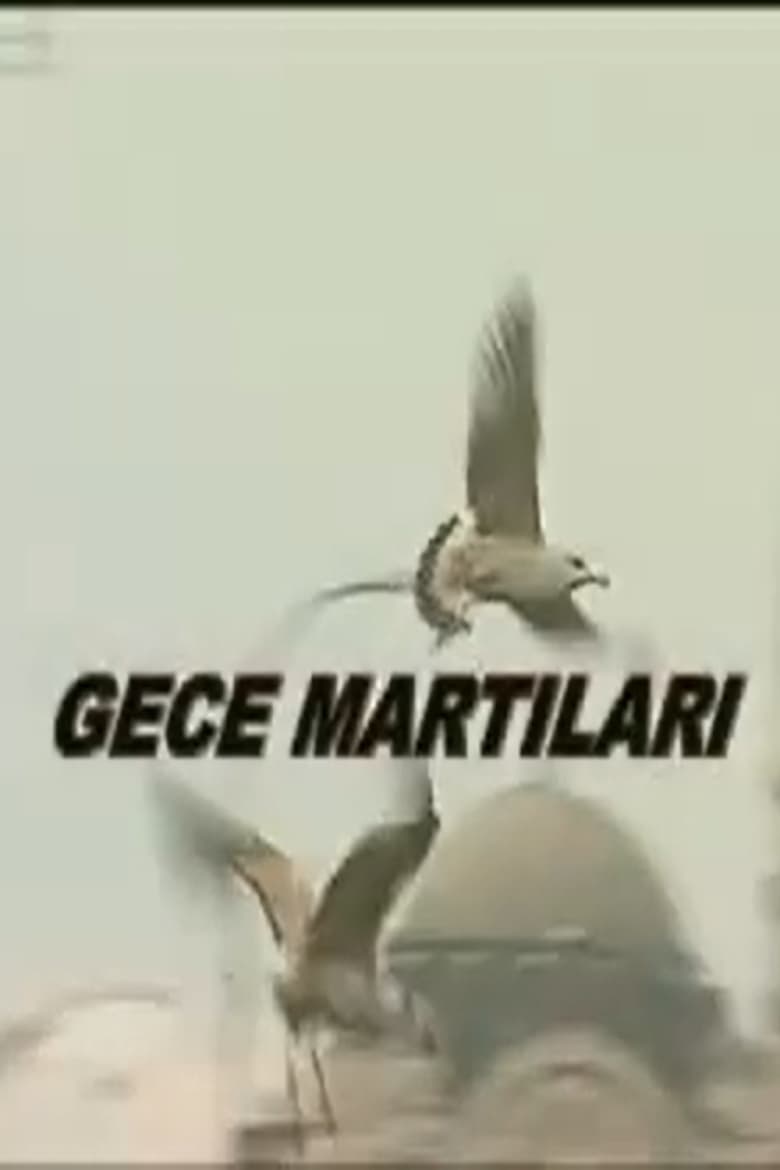 Poster of Gece Martıları