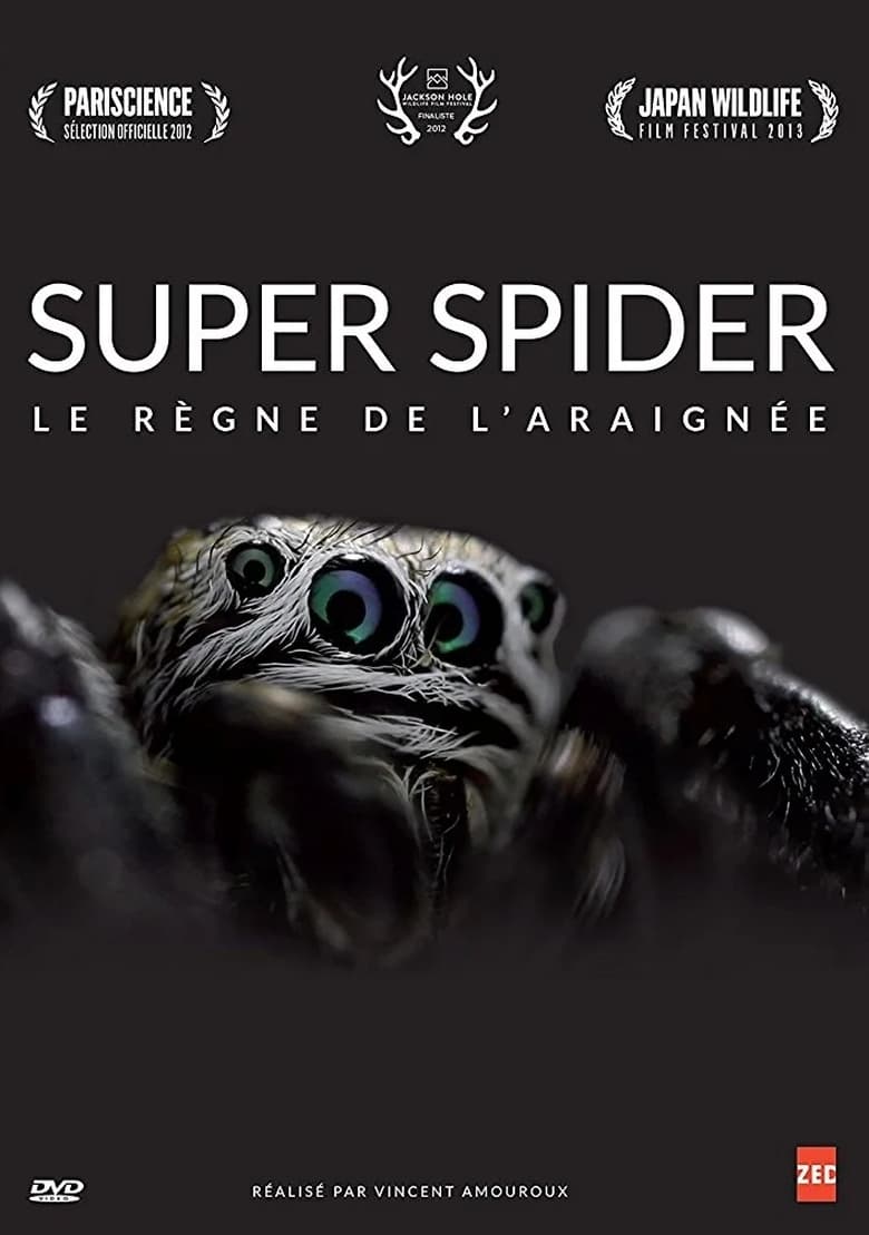 Poster of Super Spider