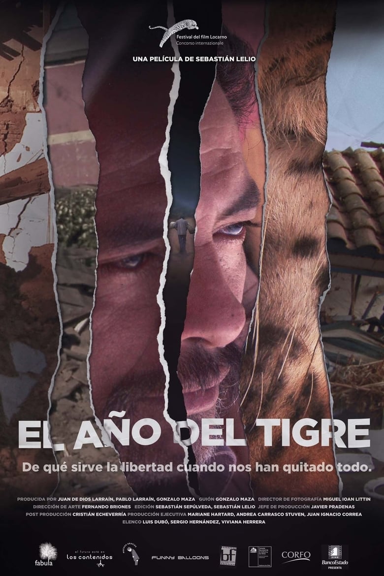 Poster of The Year of the Tiger