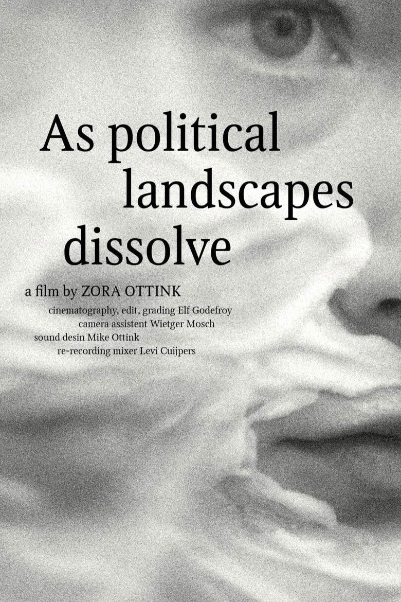 Poster of As political landscapes dissolve