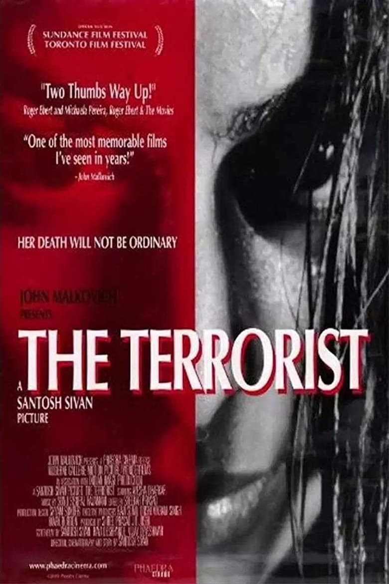 Poster of The Terrorist