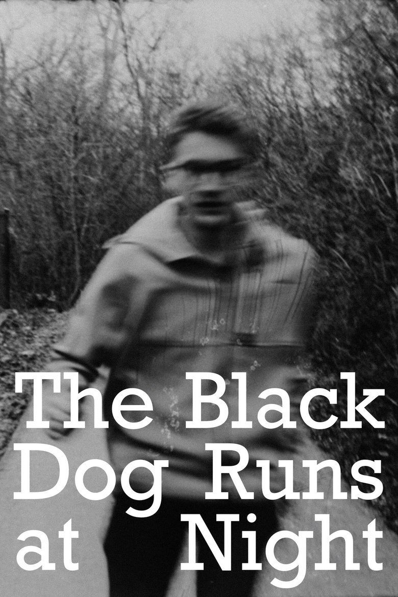 Poster of The Black Dog Runs At Night