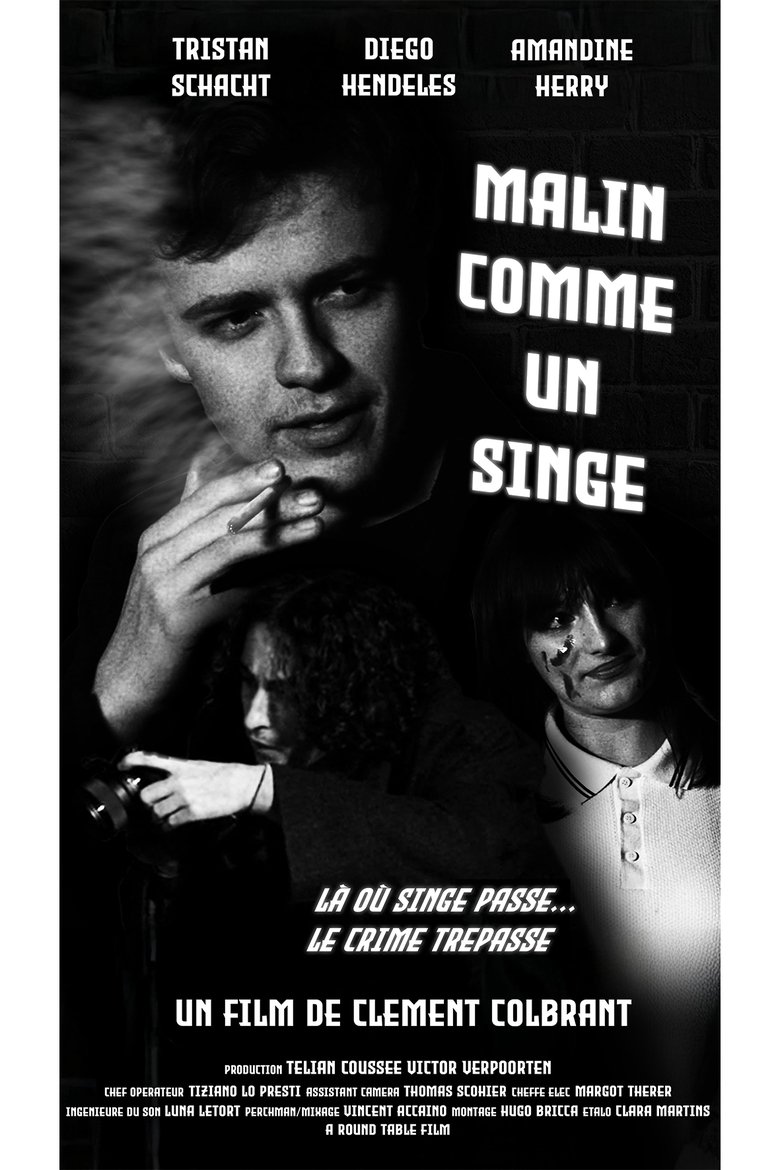Poster of Malin comme un singe
