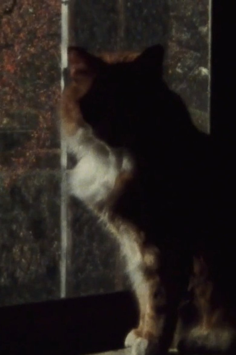 Poster of Five Year Diary, Reel 5: Mourning (January 23–30, 1982)