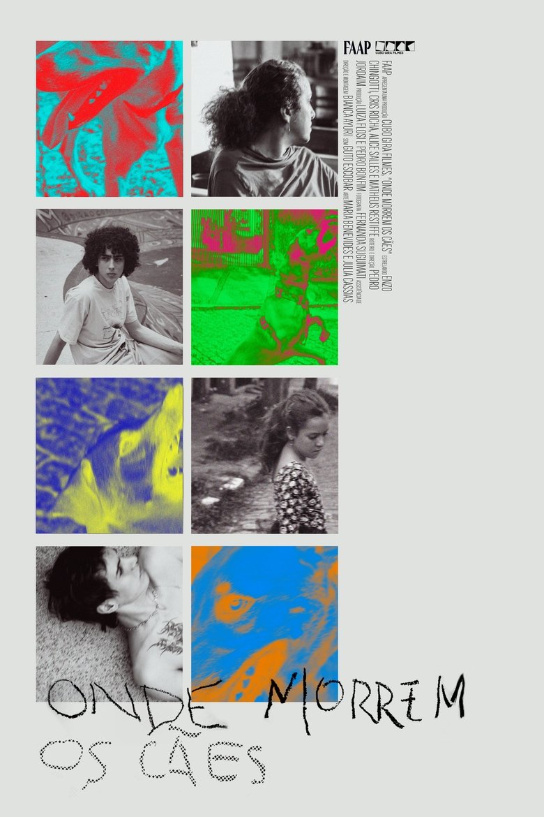 Poster of Onde Morrem os Cães