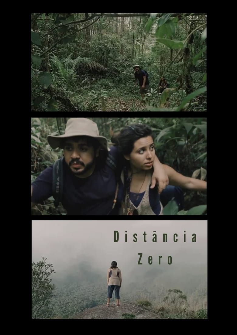 Poster of Distância Zero