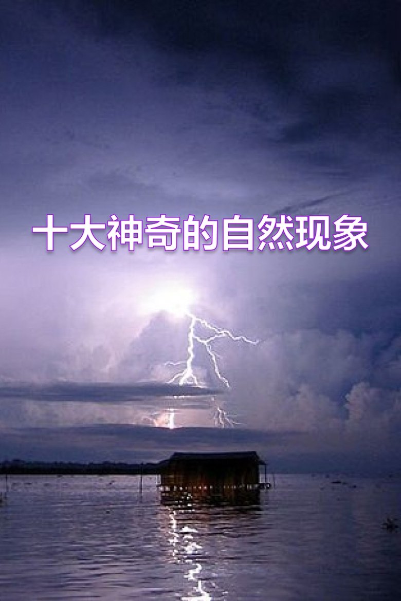 Poster of Episodes in 小灯塔系列 - Season 46 - Season 46