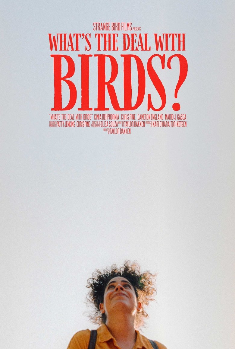 Poster of What's The Deal With Birds?