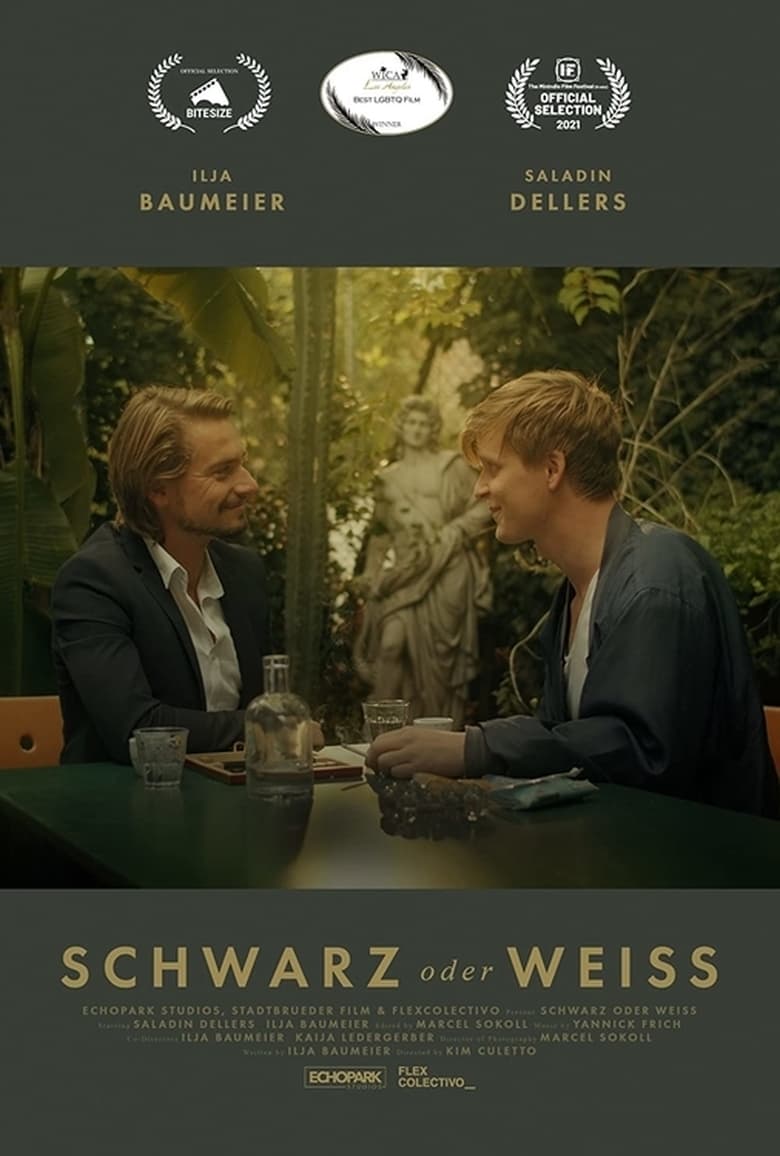 Poster of Schwarz oder Weiss