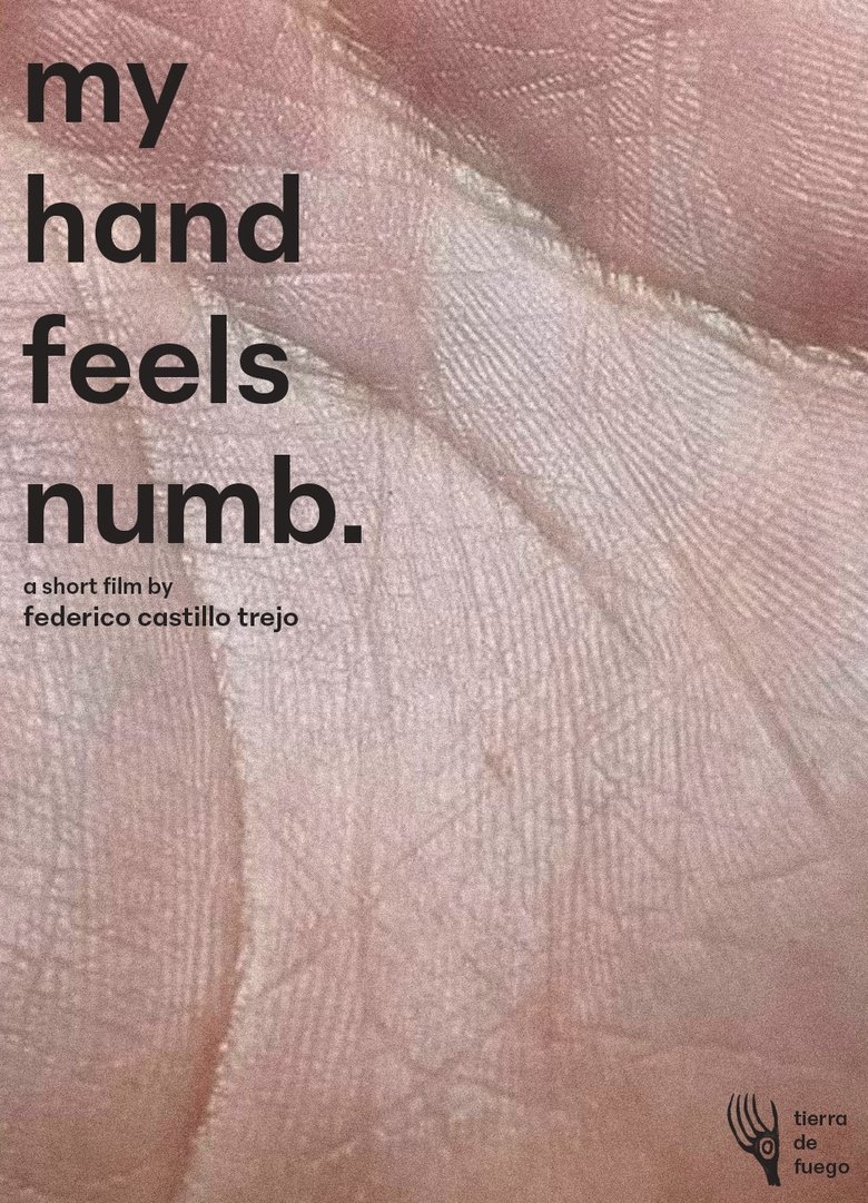 Poster of My Hand Feels Numb.