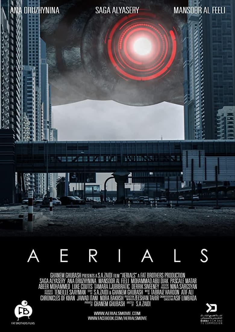 Poster of Aerials