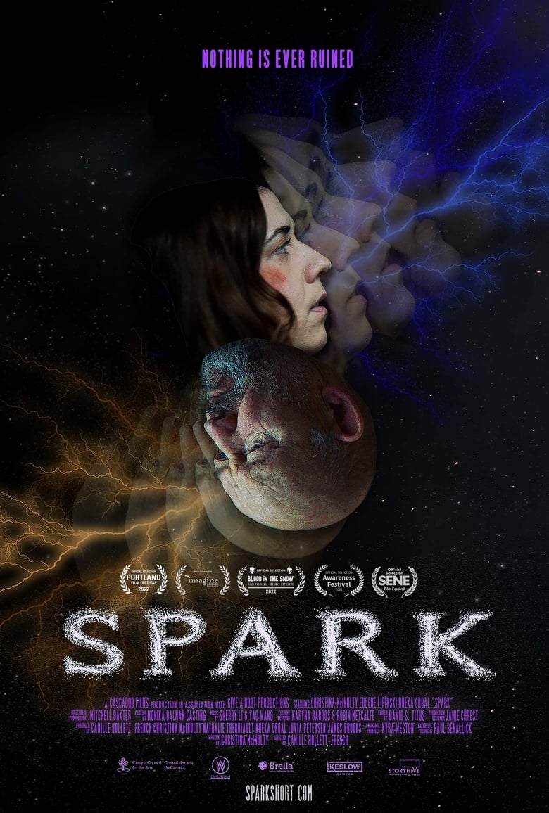 Poster of Spark